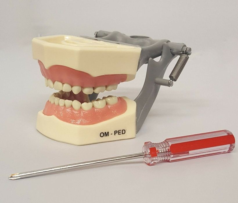 Frasaco estudo Medicina Dentária e outros - novos