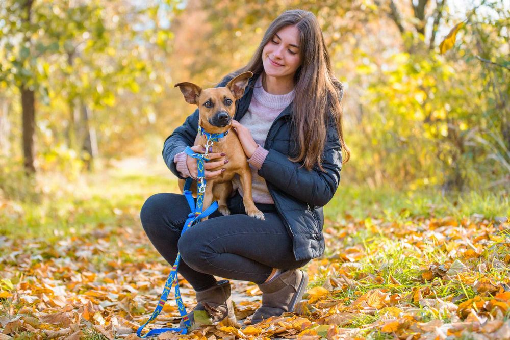 FREEKA - młodziutka, niewielka i milutka sunia