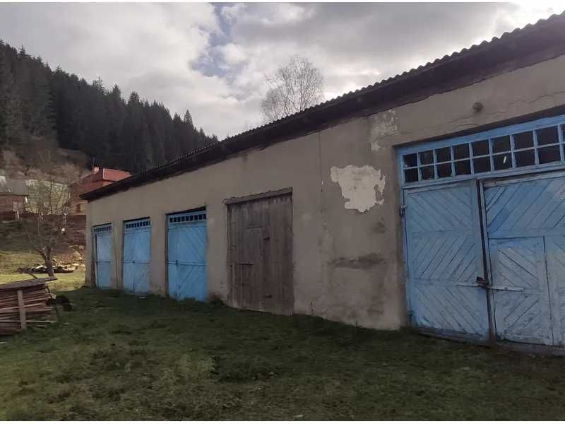 Ветлікарня, 834,8 кв. м, c-ще Путила, вул. Українська, 19