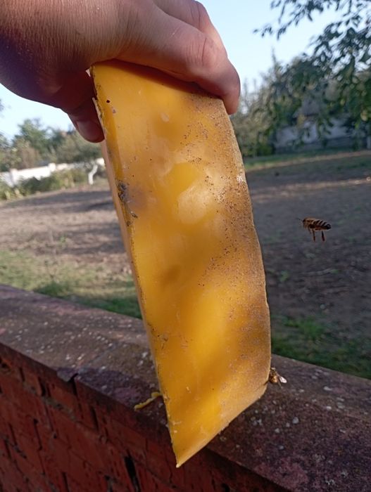 Продам віск 150 кг.Ціна 350гр/кг.