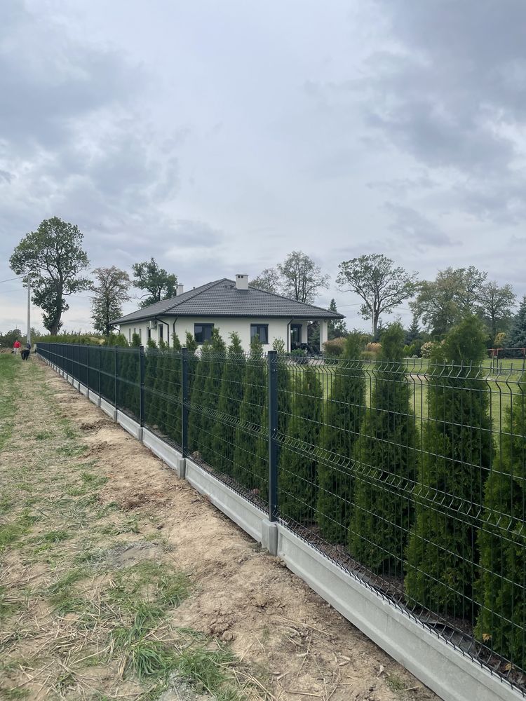 Ogrodzenie Panelowe 3D/2D SPRZEDAŻ MONTAŻ