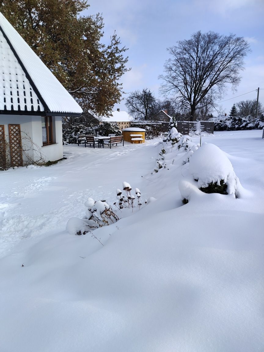 Wakacje  w Dębowym Gaju  w domku z basenem kominkiem i fińską balią