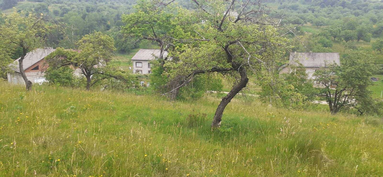 Продається земельна ділянка в Тячівських Лазах