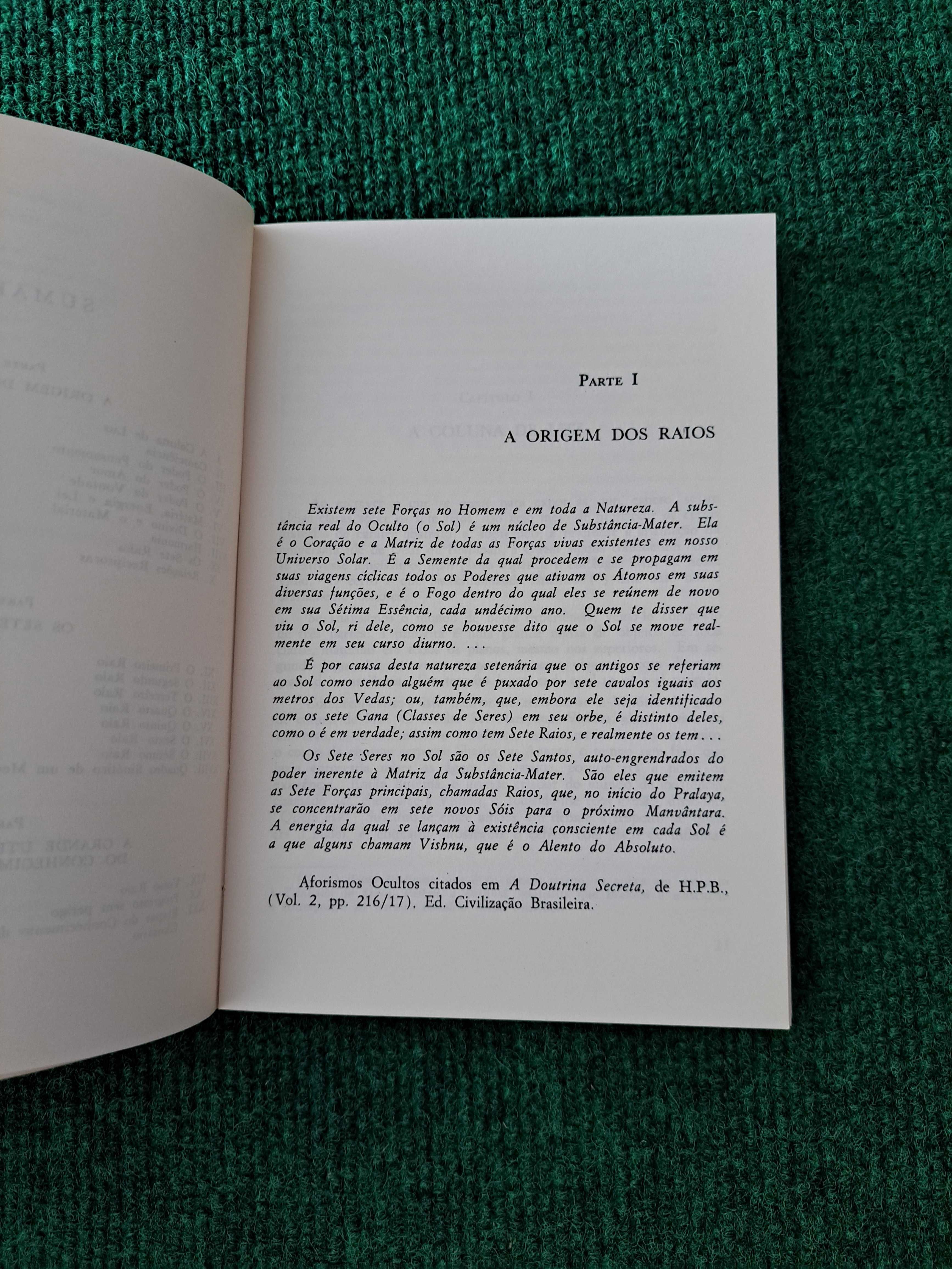 Os Sete Raios - Ernest Wood