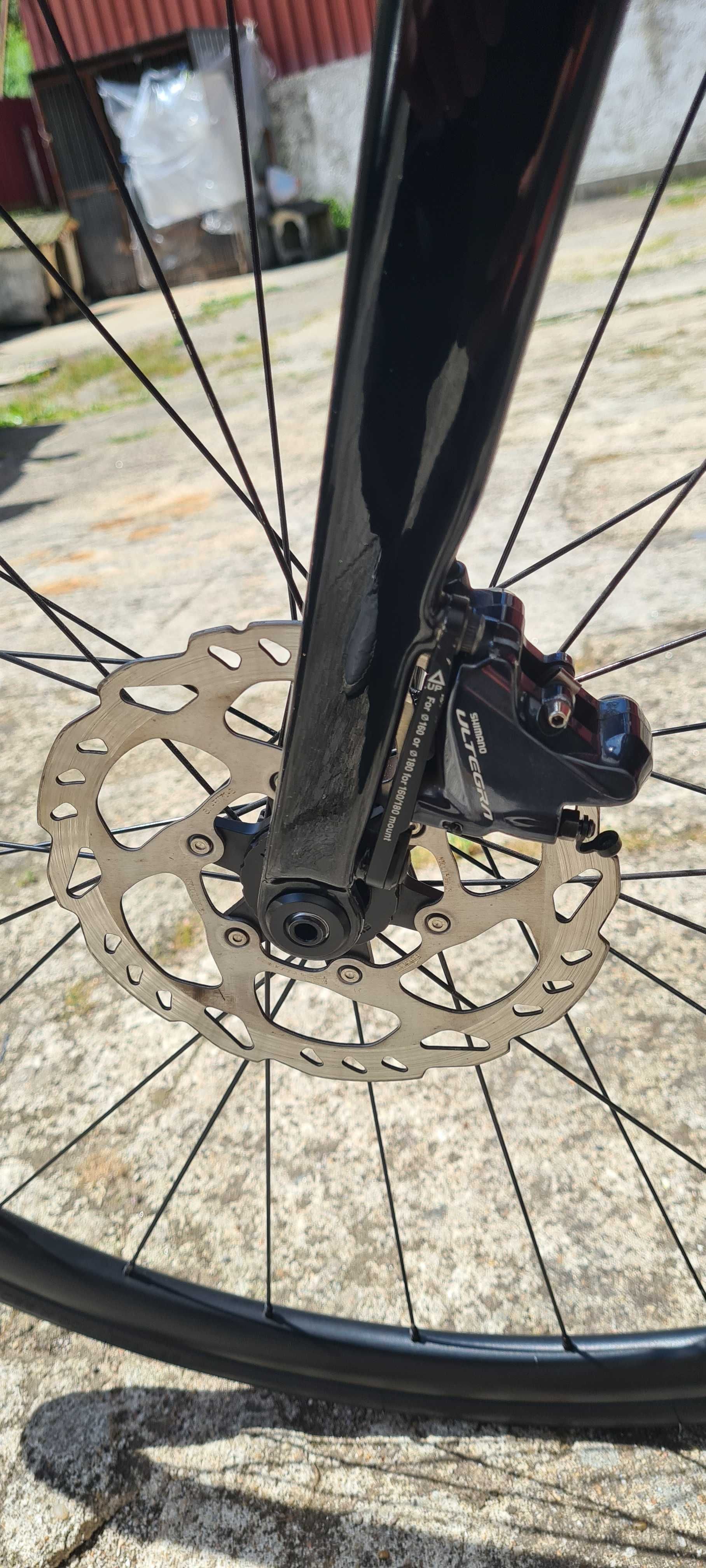 Coluer invicta disc