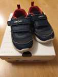 Geox sprintye adidasy 23