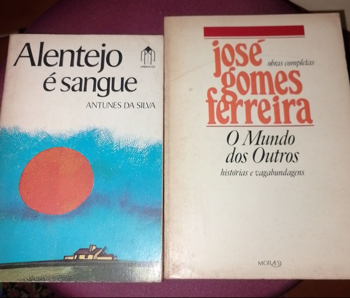 Vários livros de autores portugueses