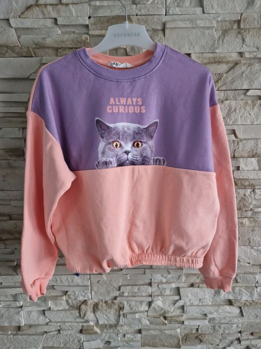 Bluxa dziewczęca H&M kot 158/164 12- 14 lat
