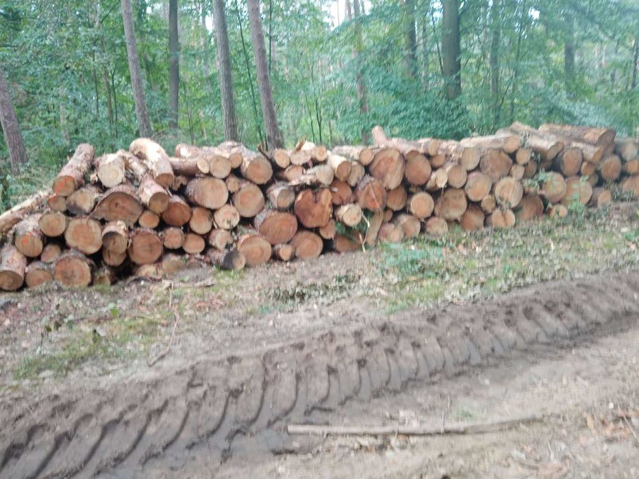 Sprzedam drewno opałowe polecam