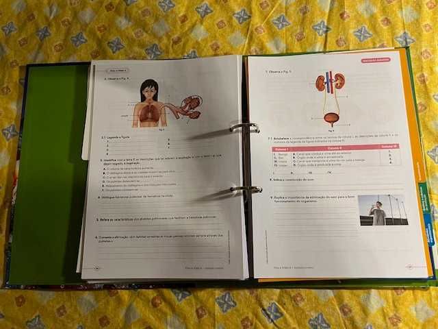 Dossier Professor - C. Naturais - 6º Ano  - "Viva a Vida! 6"