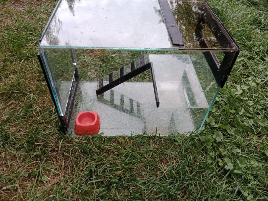 Terrarium 41x25x31