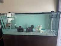 Aquario com movel