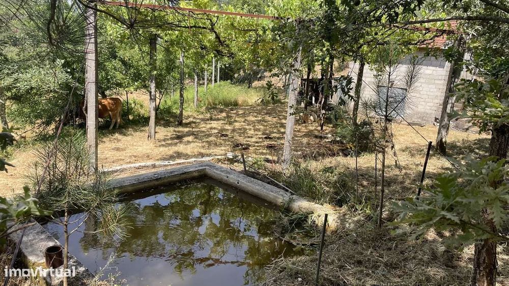 Quinta com casa rústica para restauro