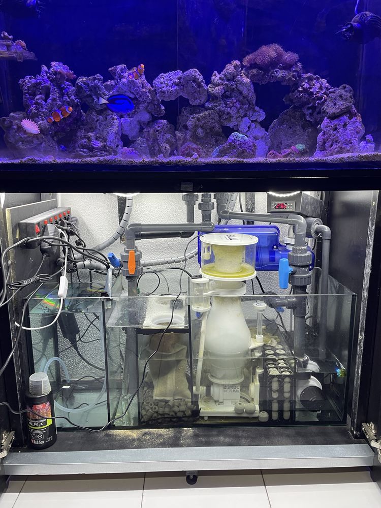 PARA DESPACHAR Aquário agua salgada + sump + Bomba + movel + estrutura