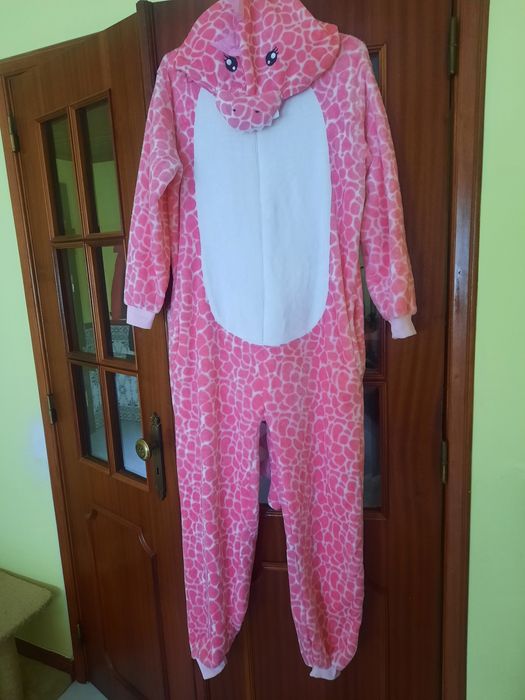 Pijama polar ou fato carnaval