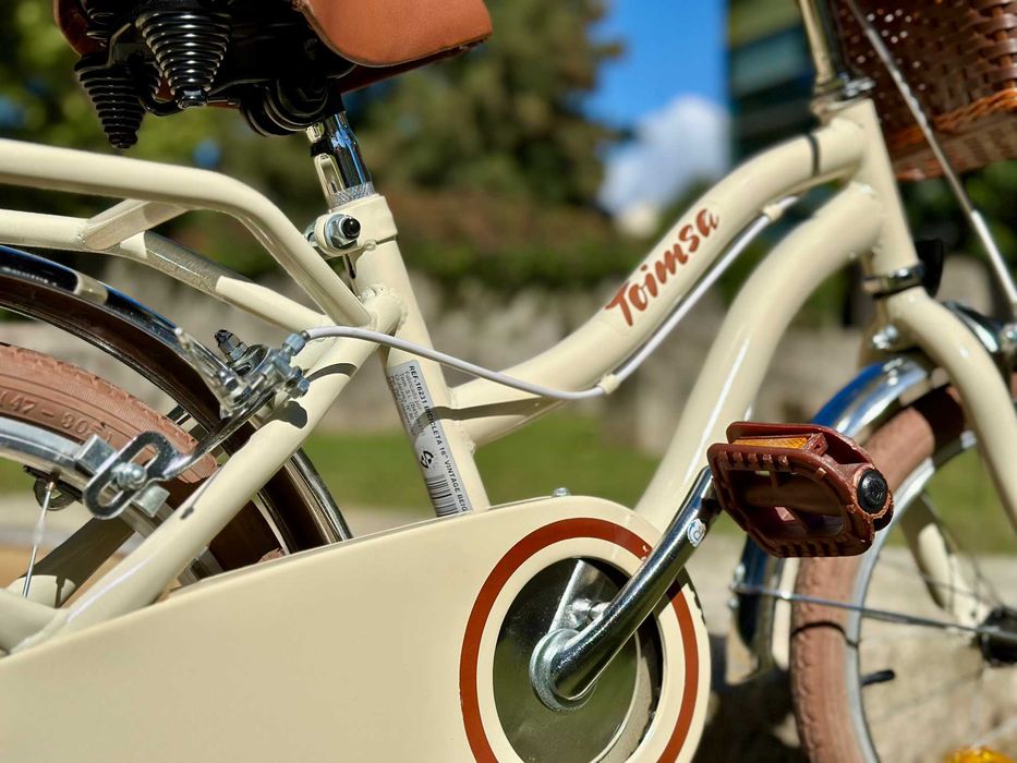 Bicicleta Infantil Toimsa Vintage (Usada, em excelente estado)