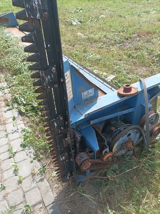 Ріпаковий стіл..