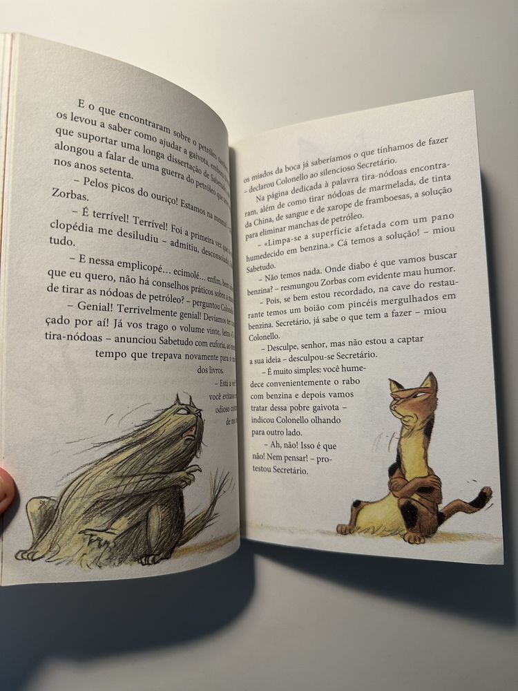 História de uma gaivota e do gato que a ensinou a voar