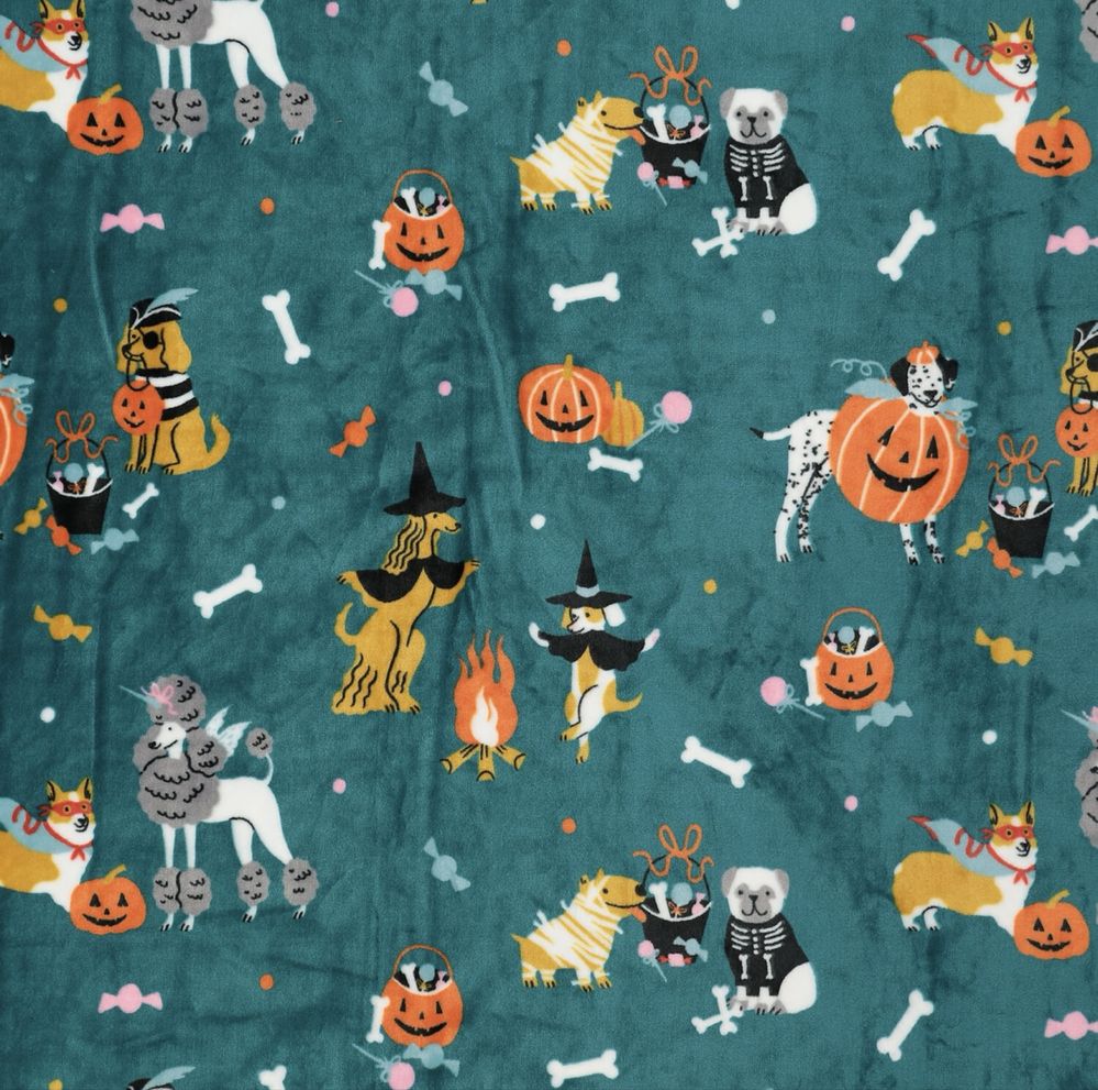 Koc halloween tk max