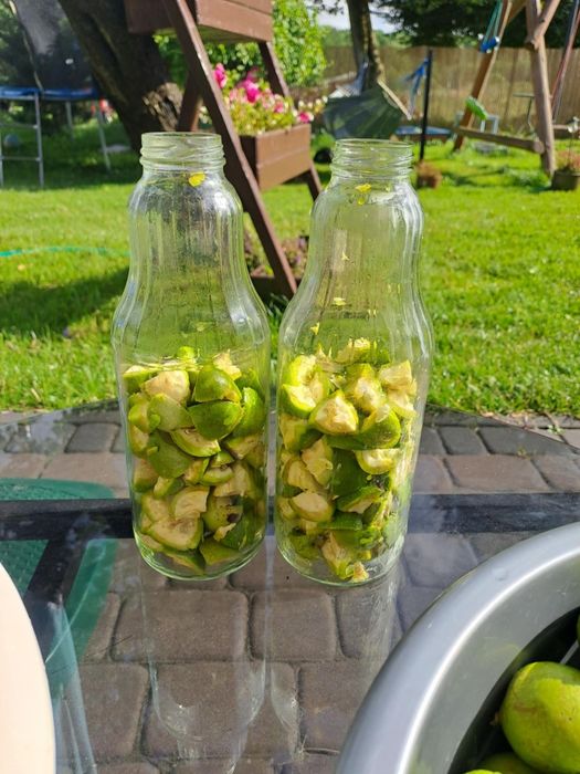 Wyciąg z orzecha włoskiego 100 ml
