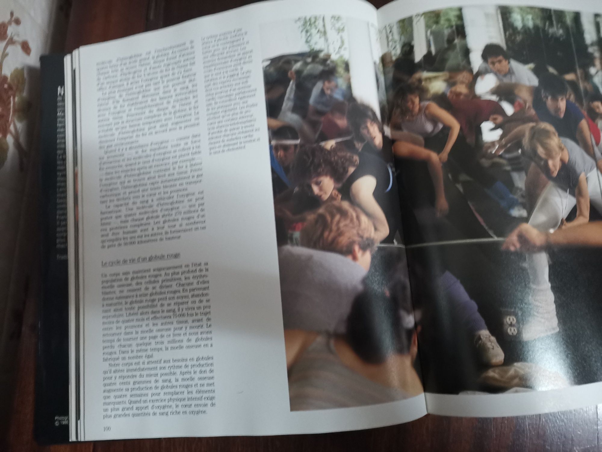 Livro do corpo humano, escrito em francês