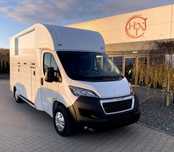 Peugeot BOXER  samochód do transportu koni, KONIOWÓZ, gwarancja.