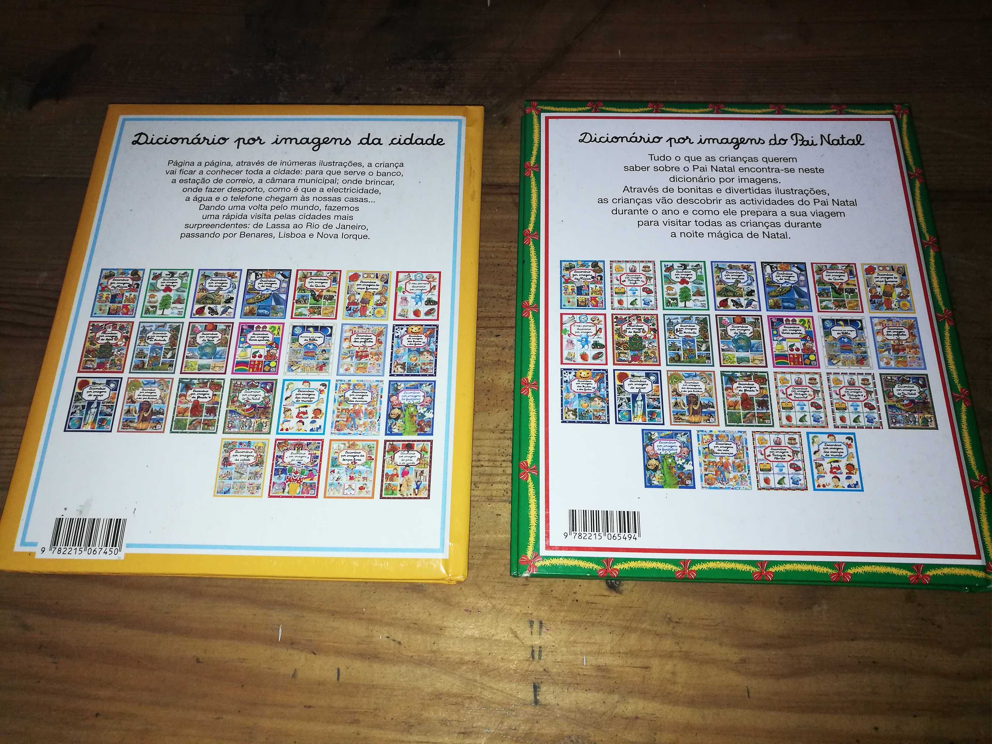 Dicionário Por Imagens da Cidade a 9€