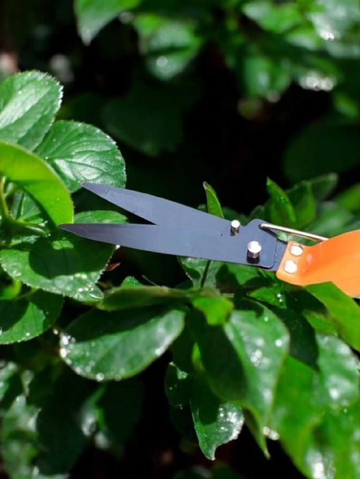 Набір садових інструментів у кейсі 14в1