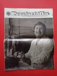 Przyjaciółka tygodnik, nr 48, 26 XI 1981