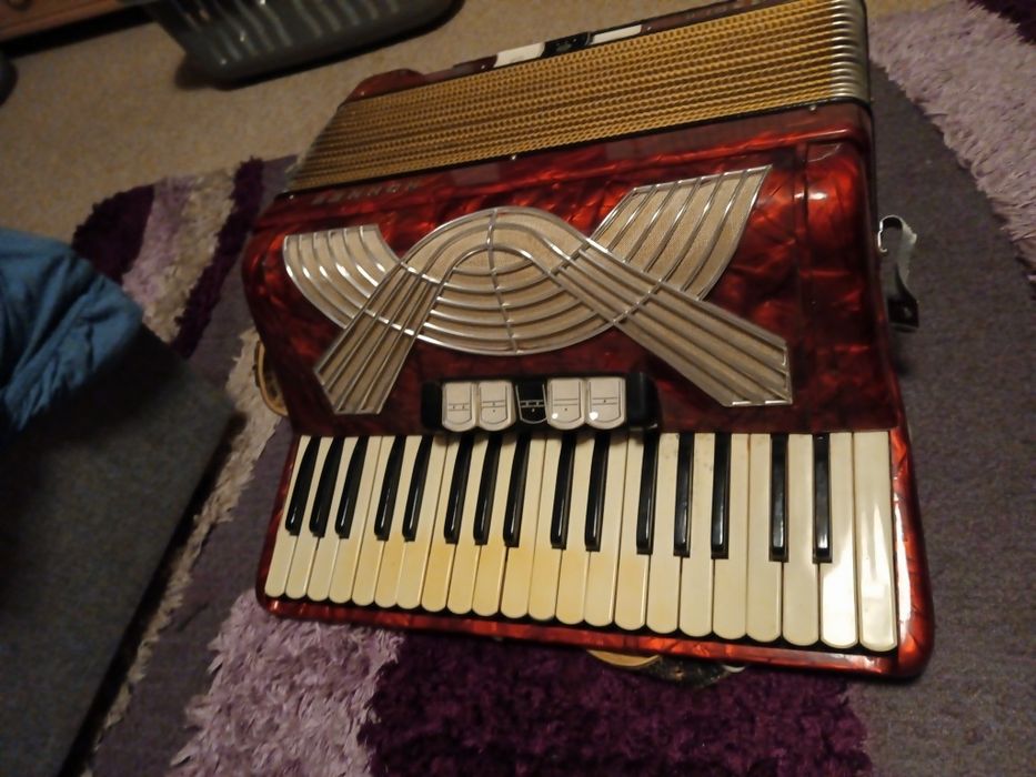 Akordeony 96 basöw i 120basöw