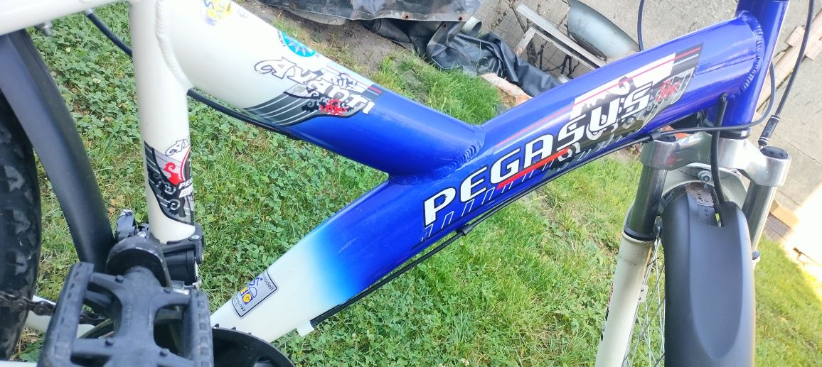 Rower Pegasus Avanti 24 cale
