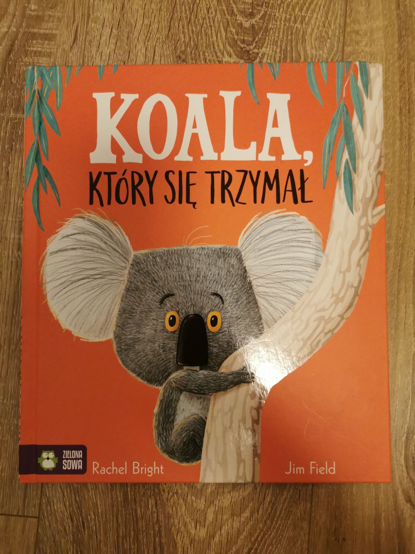 Koala, który się trzymał