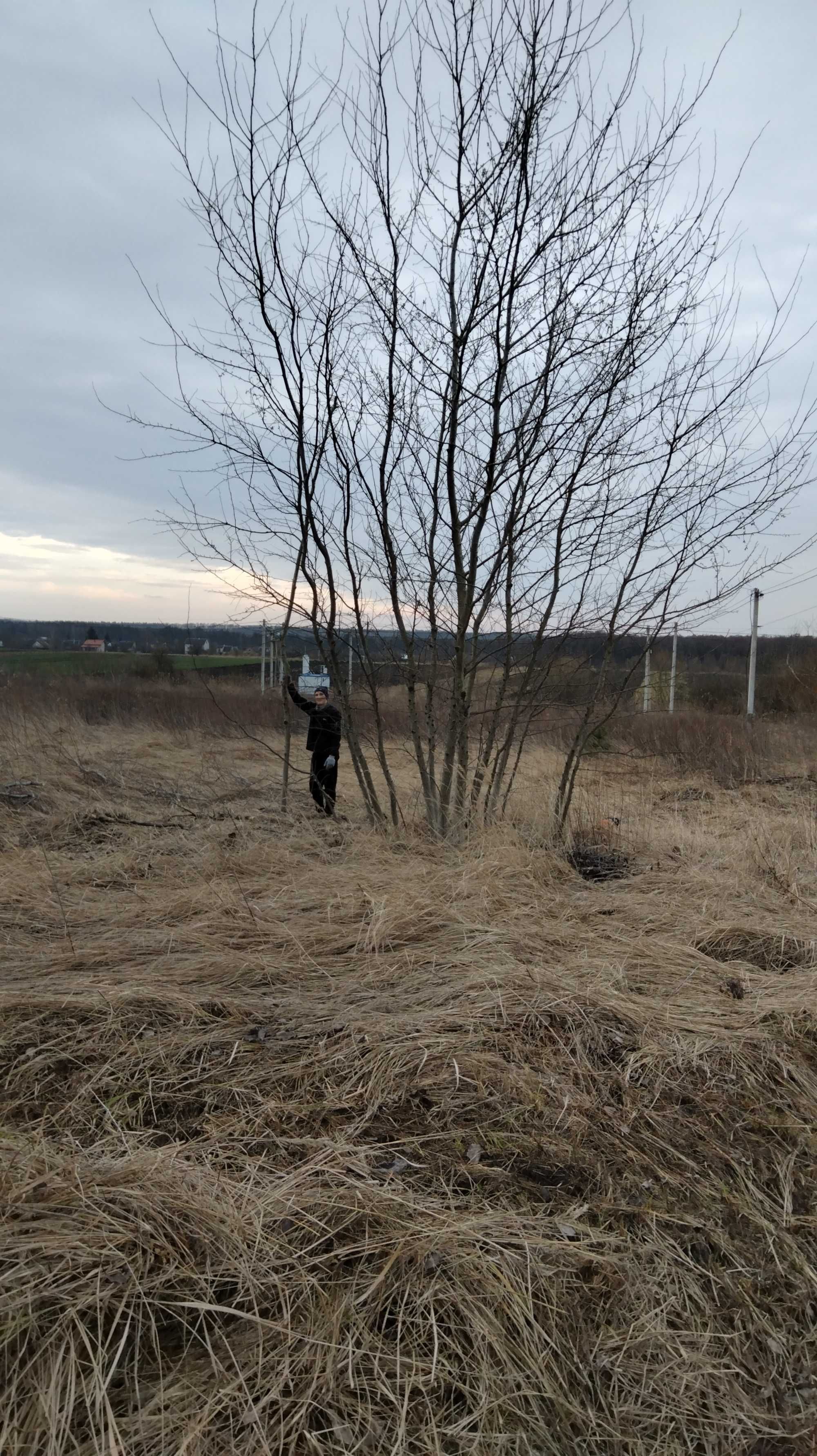 Земельну ділянку під забудову