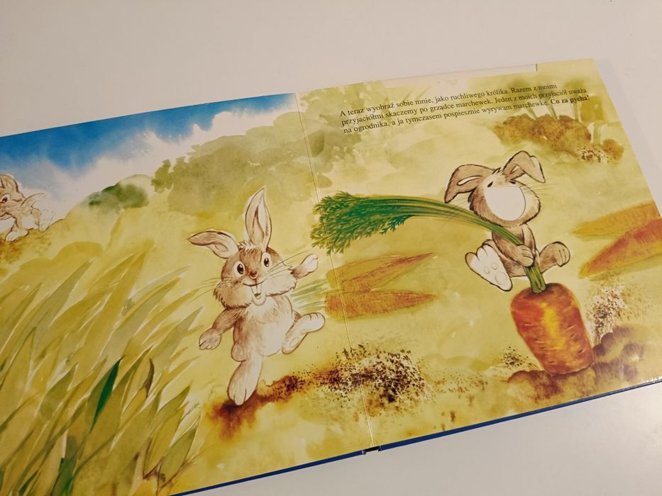 Książka z okienkami na zdjęcia wyobraź sobie czym ja być mogę 
Posiada