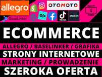 Pomoc Ecommerce Baselinker Allegro Google Ads Tik Tok Grafika Aukcje