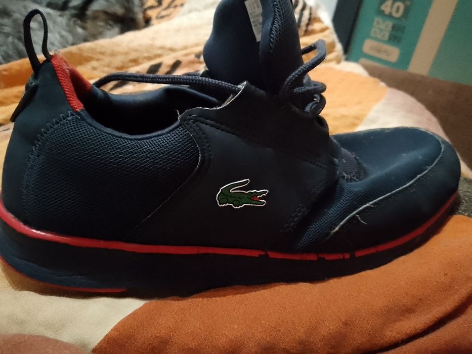 Adidasy lacosta rozm 41