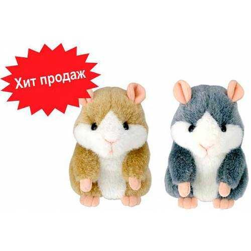 хомяк повторюшка и кактус танцующий