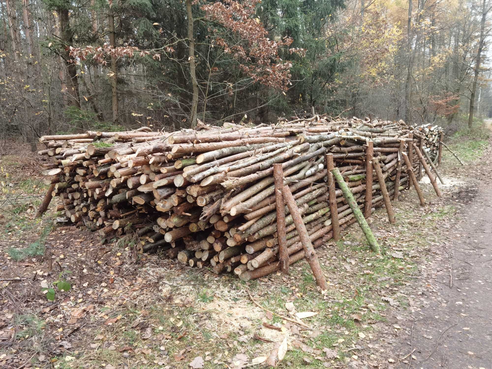 Drewno opałowe dąb buk sosna suche