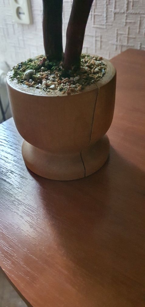 Продам декоративное дерево