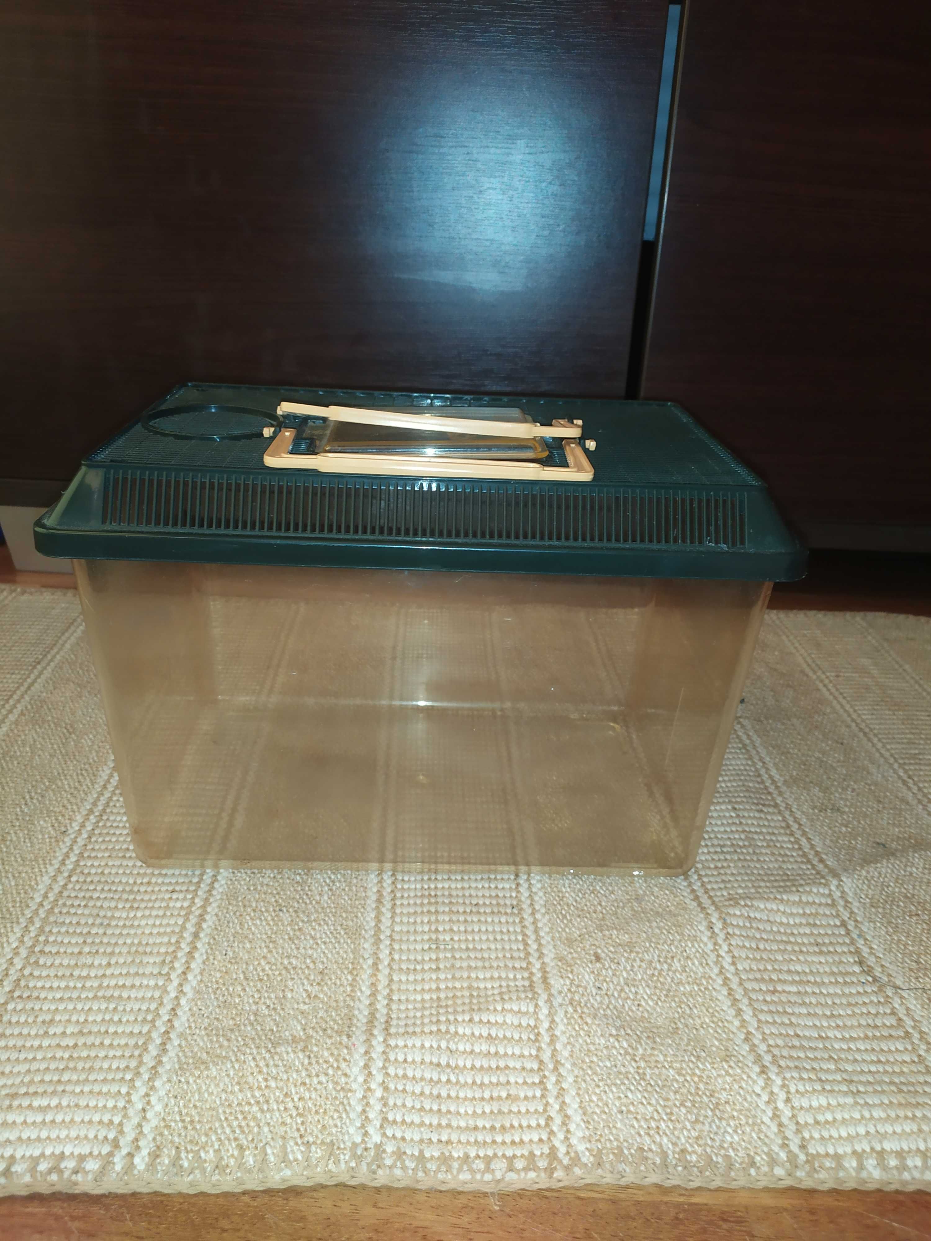 Terrarium dla jaszczurek