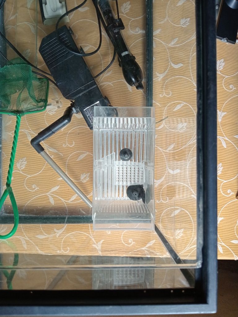 Aquário 60L com muitos acessórios