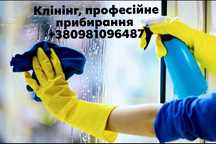 Професійне прибирання клінінг