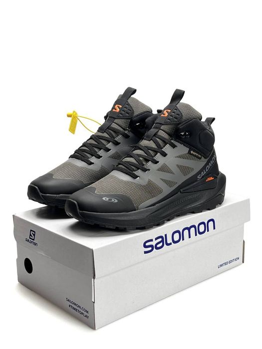 Чоловічі кросівки Salomon Elixir Activ Fur Black Taupewood