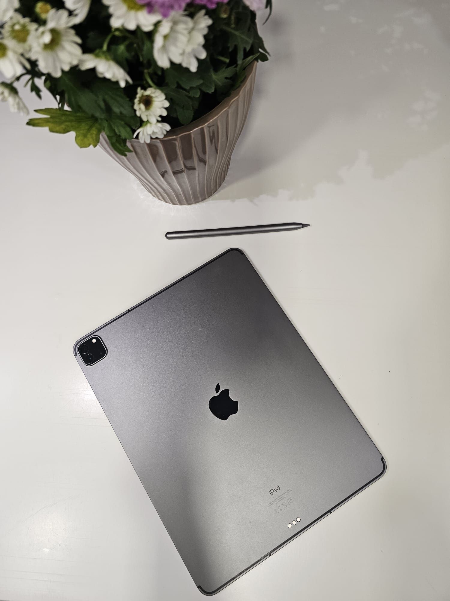 Apple iPad Pro 12.9" (5ª Geração - 2022)