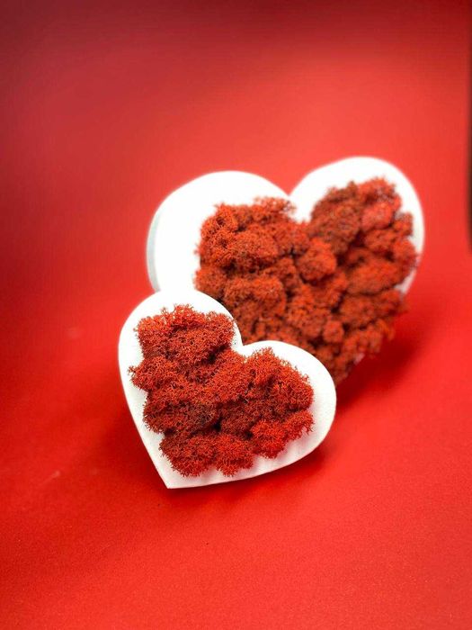 Деревянное сердце из стабилизированного мха.Декор из мха