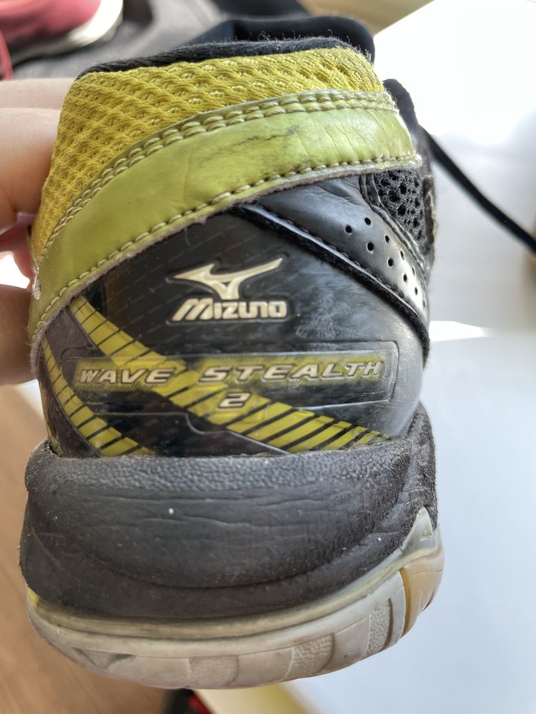 Кросівки чоловічі Mizuno