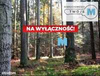 Działki leśne w kompeksie lasów prywatnych 4,5 ha