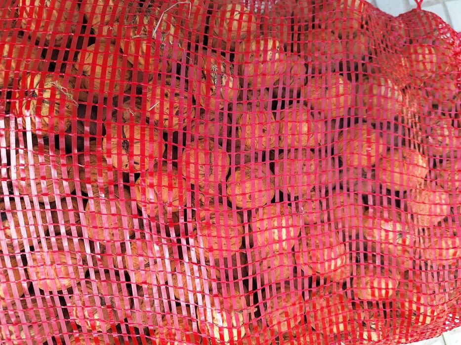 Vendo nozes apanhadas agora em Outubro,muito boas sacas de 5 e 10 kilo