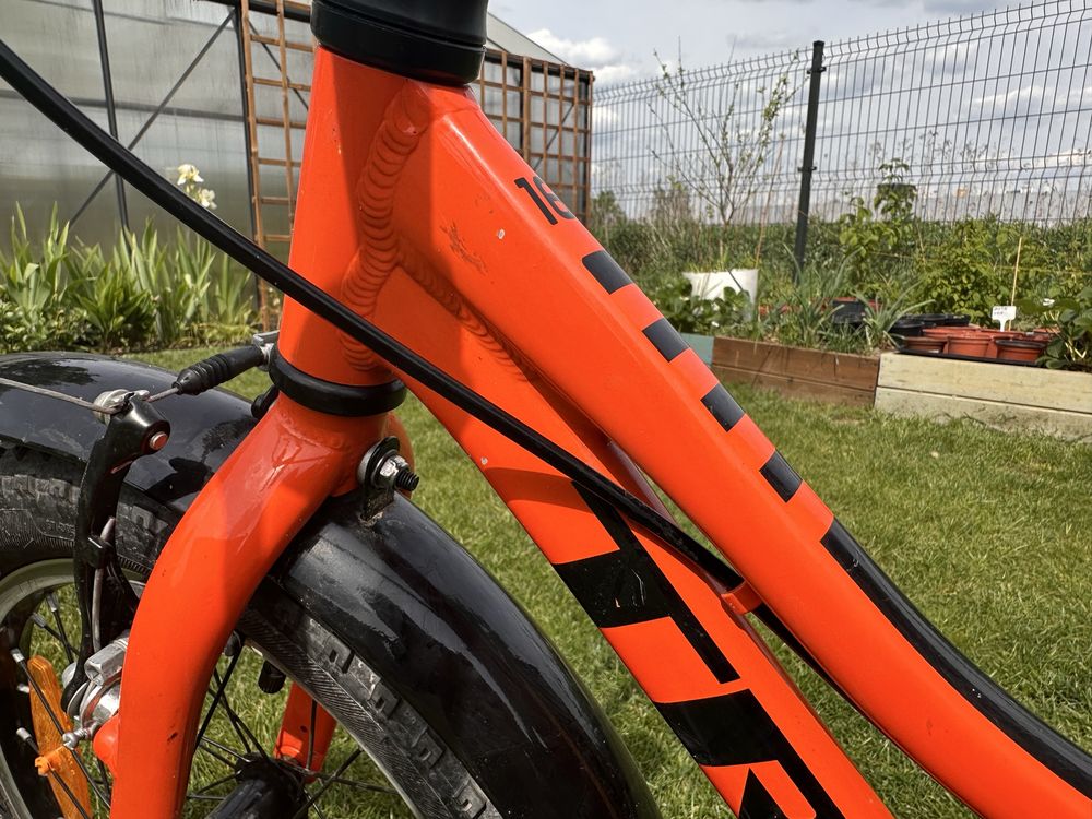 Rower Trek Precaliber 16” + kask grafis!