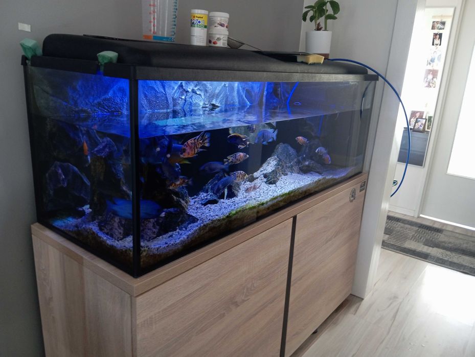 Akwarium 375l 150x50x50